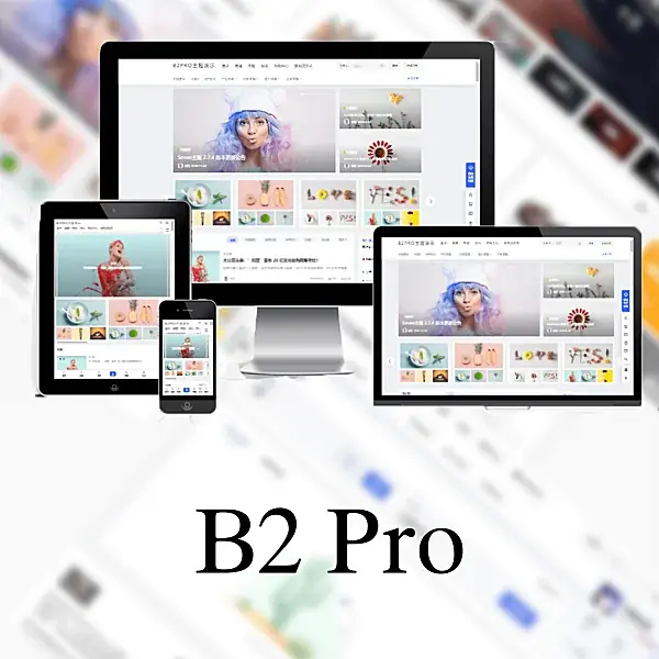 7B2柒比贰B2 Pro V5.4.2开心破解版免授权源码-大贝源码