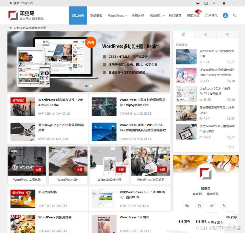 知更鸟begin-LTS破解无限制最新版WordPress主题模板-大贝源码