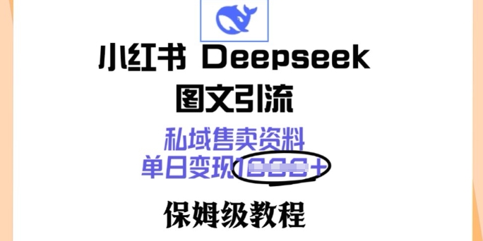 小红书Deepseek图文引流，私域售卖资料，单日变现多张，保姆级教程-大贝源码