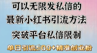 最新“摆烂式”引流打法，小红书私信引流，单天引流100+-大贝源码