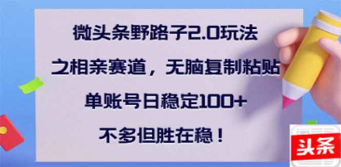 （14334期）微头条野路子2.0玩法之相亲赛道，无脑搬砖复制粘贴，单账号日稳定300+…-大贝源码