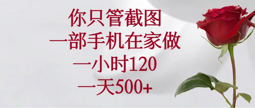 （14248期）你只管截图，一部手机在家做，一小时120，一天500+-大贝源码
