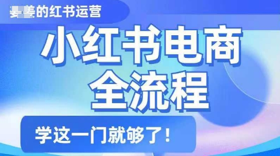 小红书电商全流程，精简易懂，从入门到精通，学这一门就够了-大贝源码