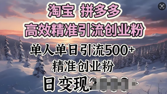 淘宝拼多多高效精准引流创业粉，单人单日引流500+创业粉，日变现多张-大贝源码