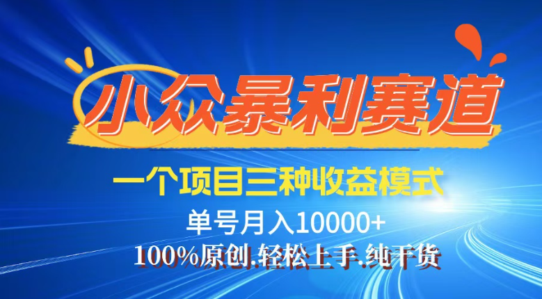 （14300期）【灵狐计划】视频号最新爆火赛道，三种收益模式，0粉新号条条热门原创…-大贝源码