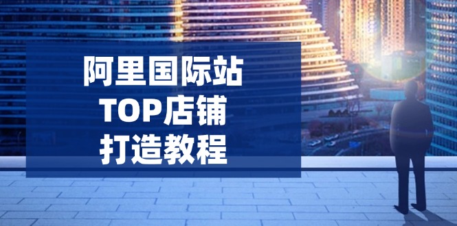 （14269期）阿里国际站TOP店铺打造教程：涵盖平台到高阶，解决运营难题，提升询盘-大贝源码