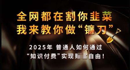 知识付费如何做到月入过W+，2025我来教你做“镰刀”【揭秘】-大贝源码