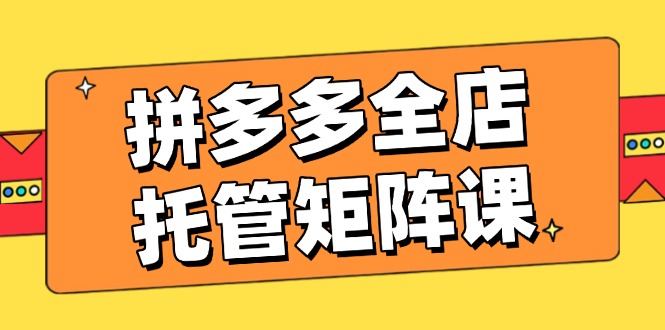 （14328期）拼多多全店托管矩阵课，盈利动销玩法，高效计划设置，提升店铺效益-大贝源码