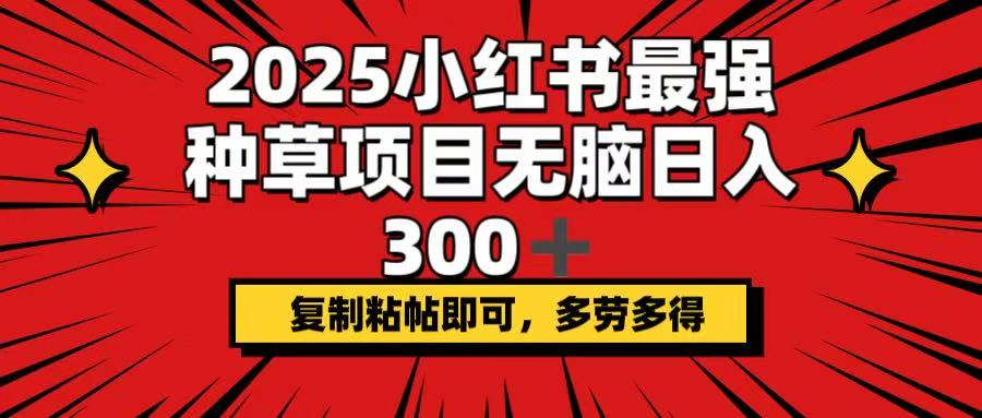（14375期）2025小红书最强种草项目，无脑日入300+，复制粘帖即可，多劳多得-大贝源码