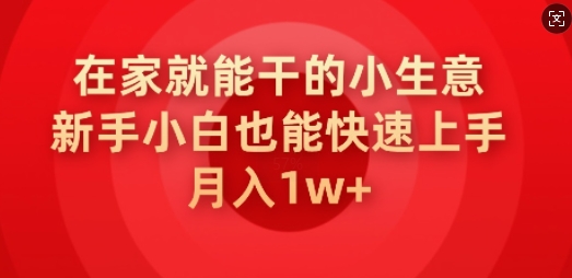 在家就能干的小生意，新手小白也能快速上手，月入1w-大贝源码