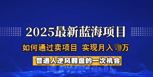 2025蓝海项目，普通人如何通过卖项目，实现月入过W，全过程【揭秘】-大贝源码