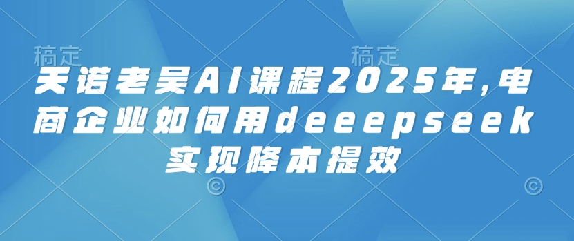 天诺老吴AI课程2025年，电商企业如何用deeepseek实现降本提效-大贝源码