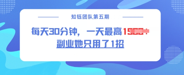 副业她只用了1招，每天30分钟，无脑二创，一天最高1.5k-大贝源码