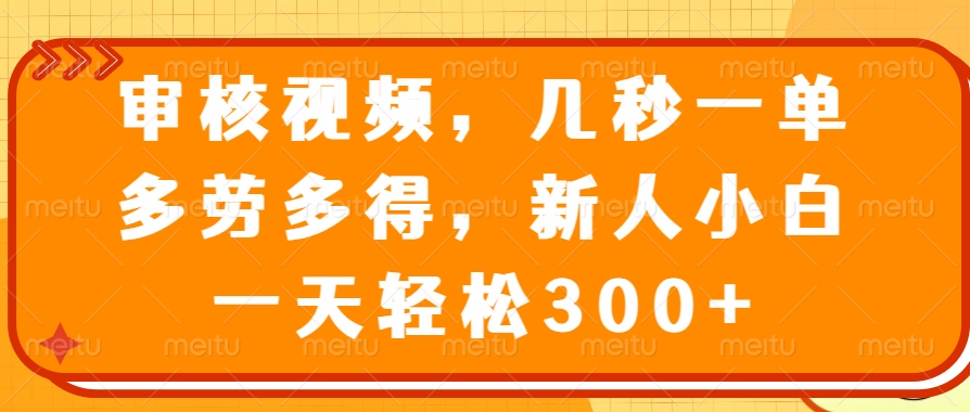 （14294期）审核视频，几秒一单，多劳多得，新人小白一天轻松300+-大贝源码