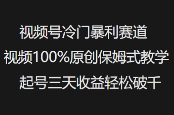 视频号冷门暴利赛道视频100%原创保姆式教学起号三天收益轻松破千-大贝源码