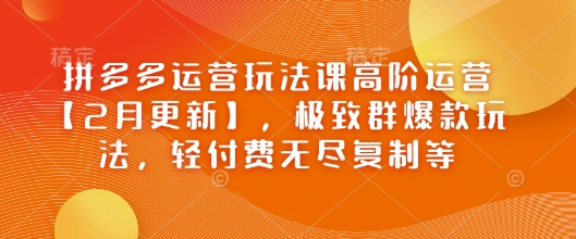 拼多多运营玩法课高阶运营【2月更新】，极致群爆款玩法，轻付费无尽复制等-大贝源码