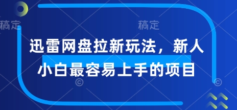 迅雷网盘拉新玩法，新人小白最容易上手的项目-大贝源码