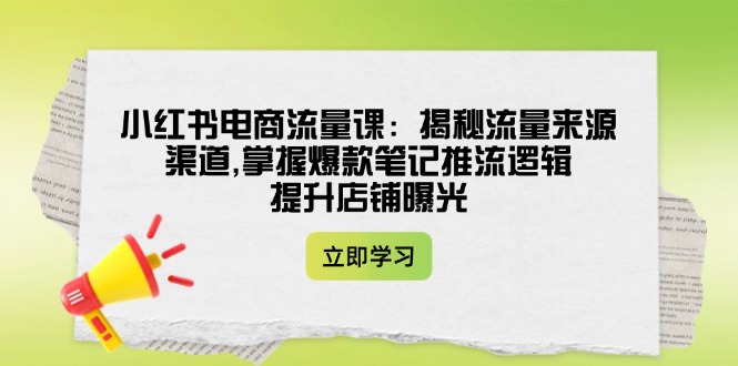 （14318期）小红书电商流量课：揭秘流量来源渠道,掌握爆款笔记推流逻辑,提升店铺曝光-大贝源码