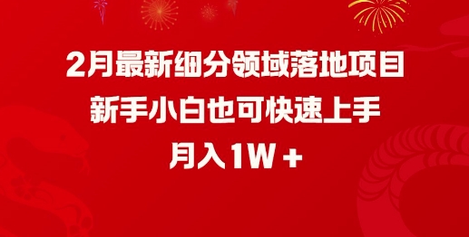 2月最新细分领域落地项目，新手小白也可快速上手，月入1W-大贝源码