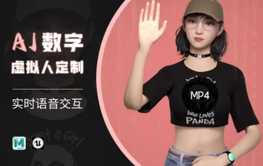 Ai数字人虚拟(智能体)实时语音交互特训营，​自行定制超写实角色AI数字人交互技术-大贝源码