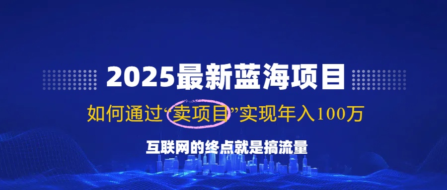 （14305期）2025最新蓝海项目，零门槛轻松复制，月入10万+，新手也能操作！-大贝源码