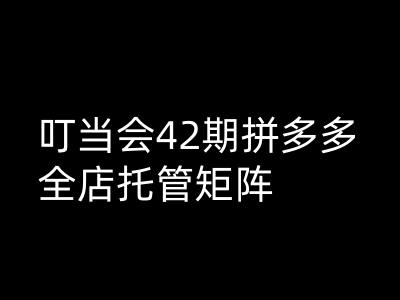 叮当会拼多多打爆班原创高阶技术第42期，拼多多全店托管矩阵-大贝源码